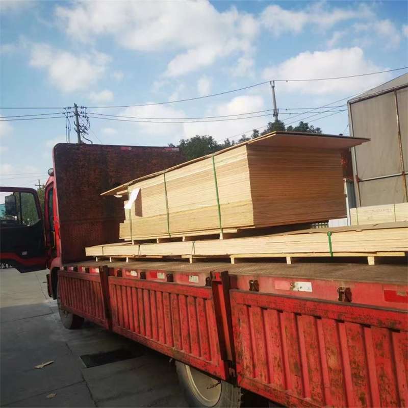 湖北十堰茅箭至塔城货运专线，一站式物流服务助您成功